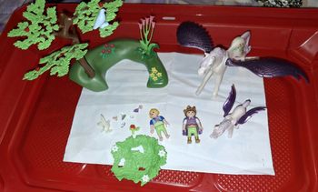 Lot playmobil chevaux pegaze et enfants