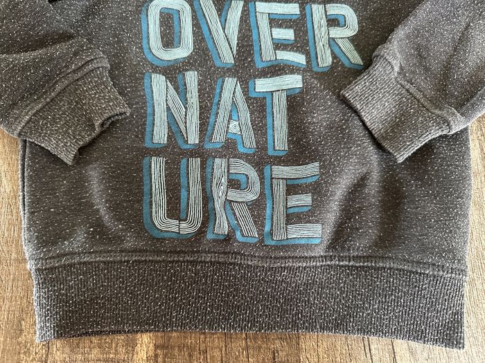 Sweat à capuche gris 4 ans - photo numéro 3