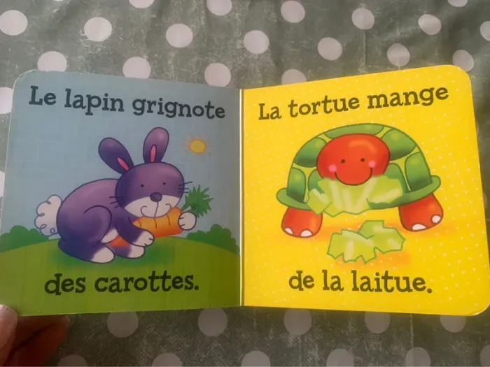 Livre poignée - photo numéro 4