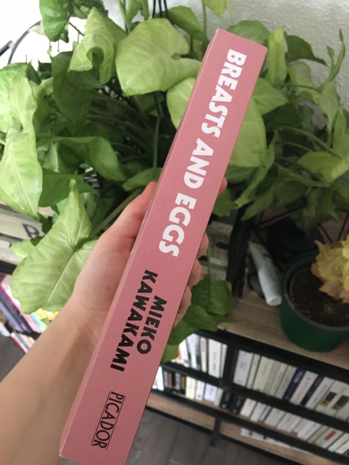 breasts and eggs mieko kawakami - photo numéro 4