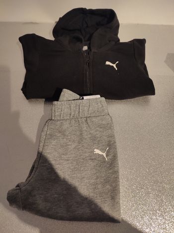 Ensemble puma