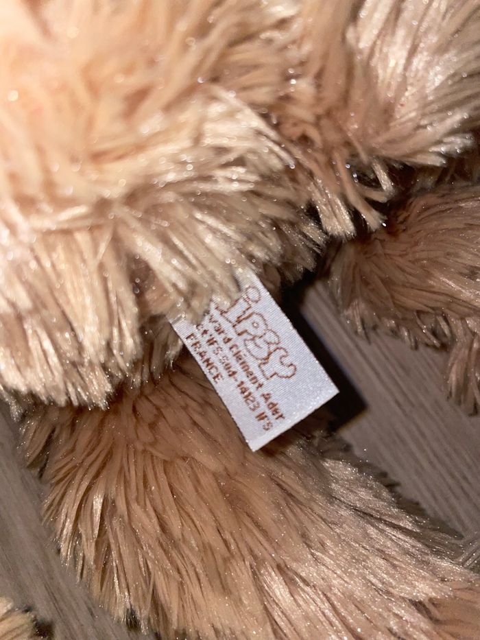 singe gipsy - photo numéro 2