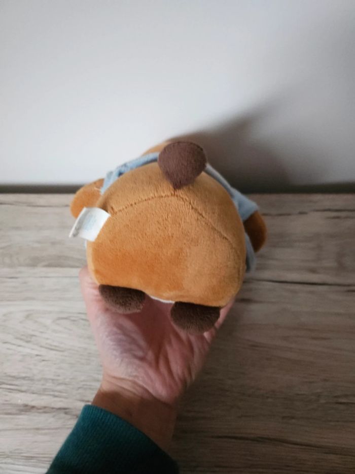 Lapin Picot - photo numéro 2
