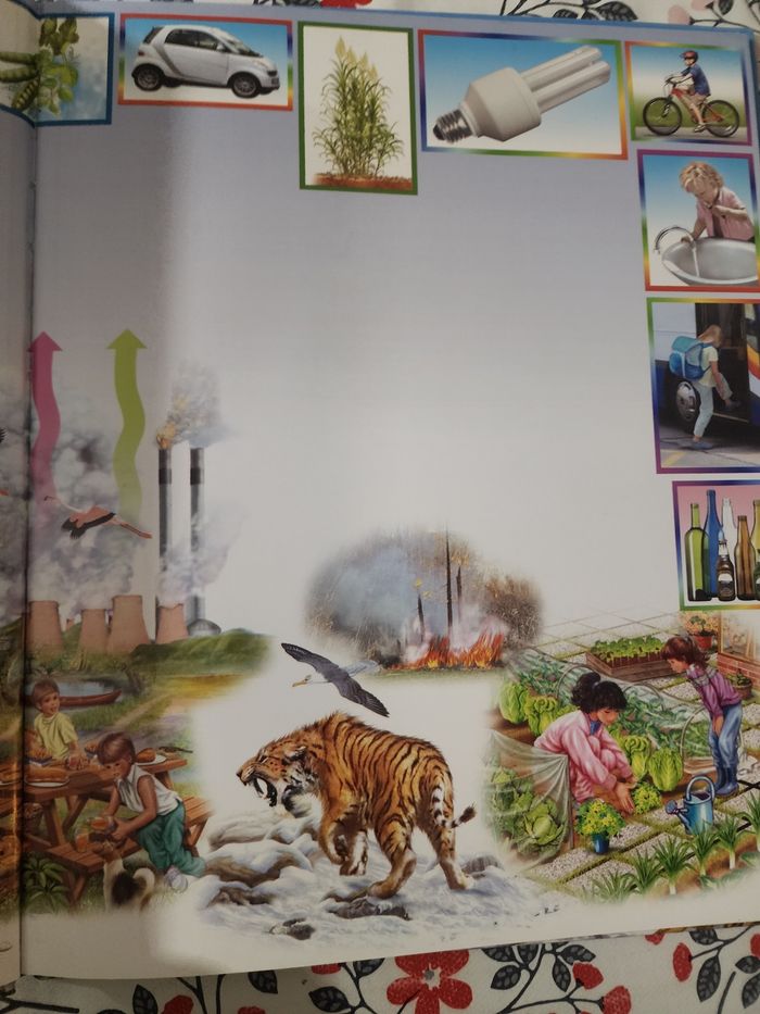 Livre sauvons la planète - photo numéro 2