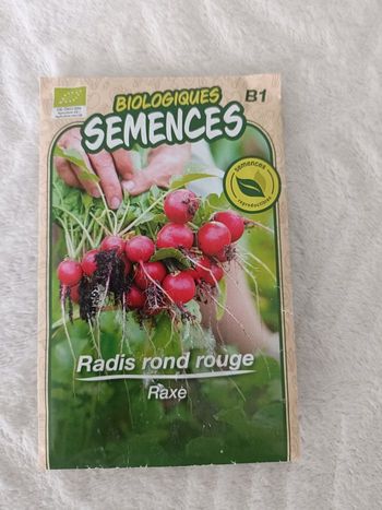 Semences reproductibles biologiques radis rond rouge
