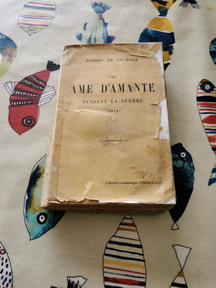 Une ame d'amante pendant la guerre 1914