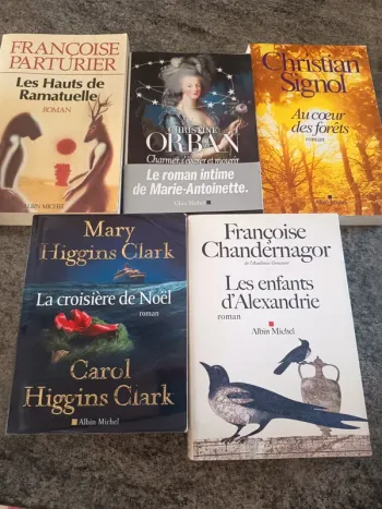 Lot de 5 livres édition Albin Michel