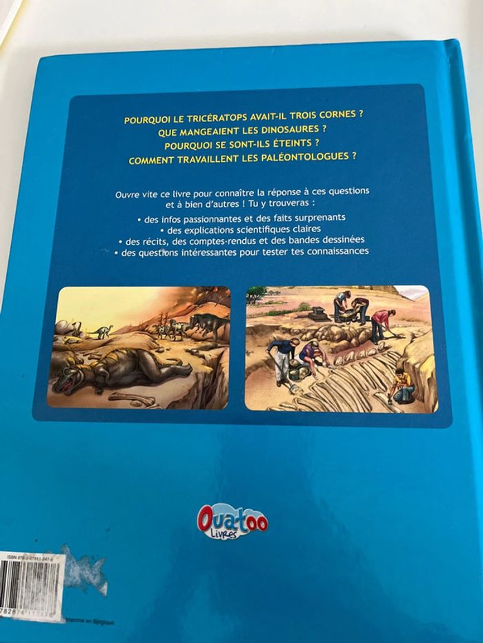 Lot de 3 livres dinosaures - photo numéro 5