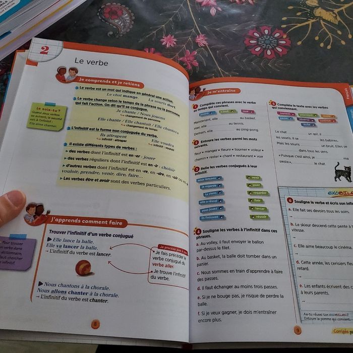 tout le programme CE1 collection Boscher neuf (8e) - photo numéro 3