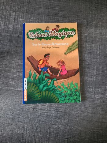 Sur le fleuve amazone