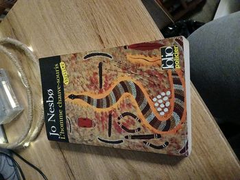 LIVRE L HOMME CHAUVE SOURIS DE JO NESBO