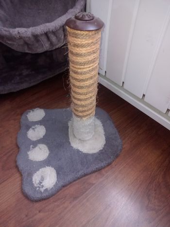 Griffoir forme patte de chat