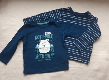 2 tee-shirt manches longues lupilu