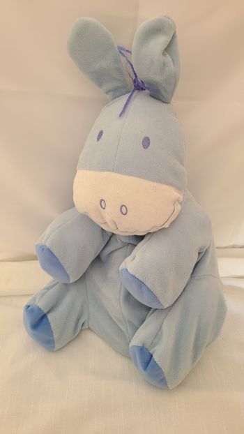 doudou ane , cheval bleu