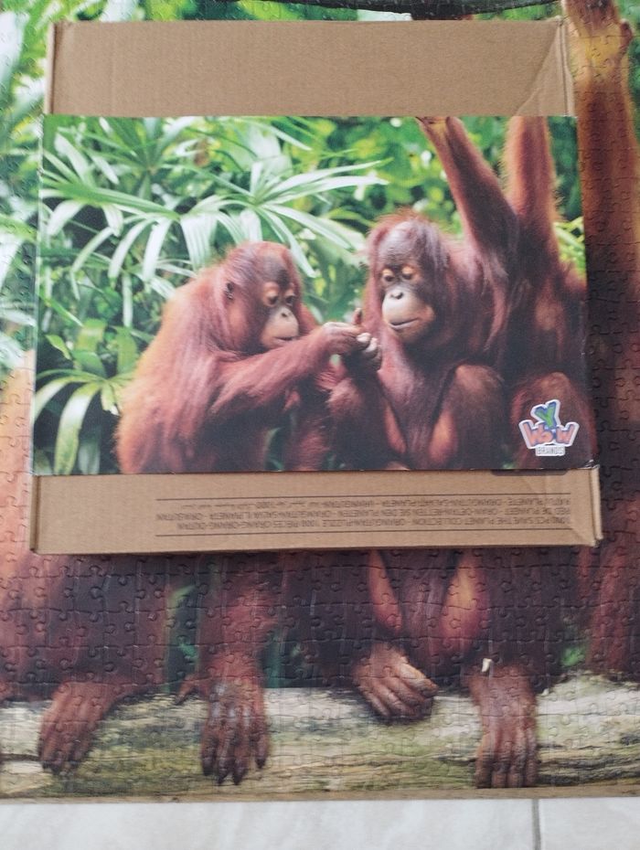 Puzzle 1000 pièces 🐒