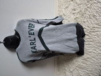 Pull Karl gris - Taille S - Très bon état