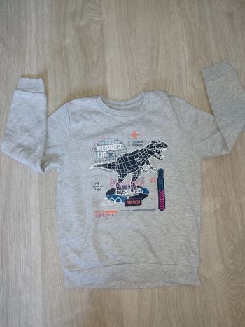 Pull dinosaure