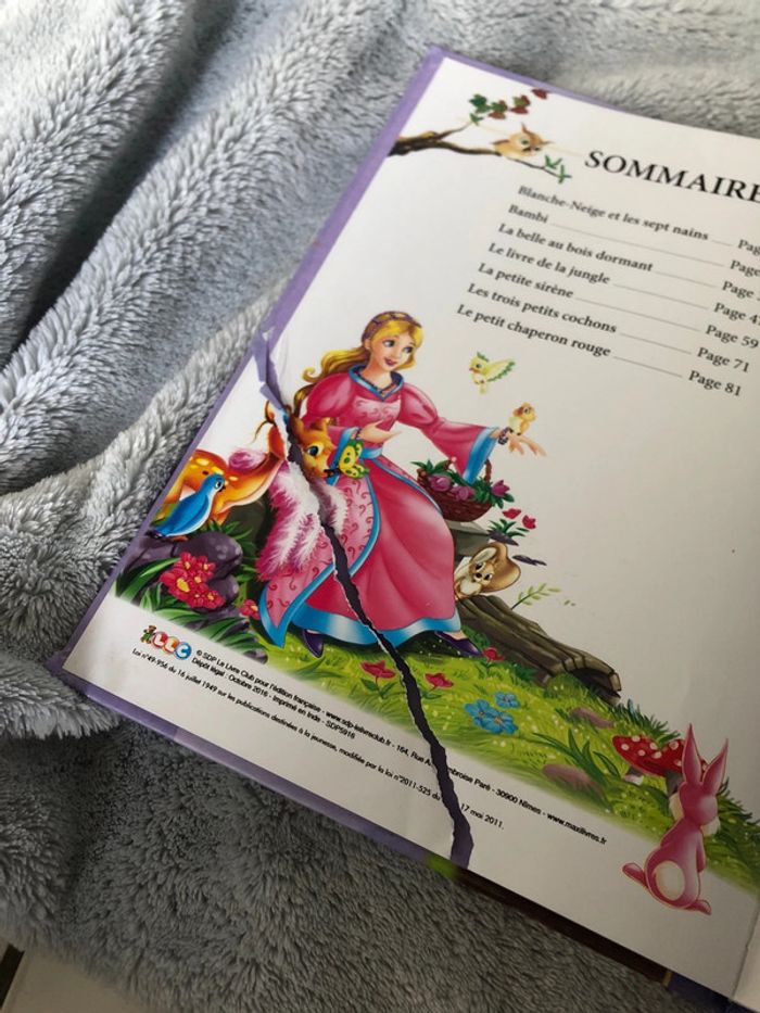 Livre contes merveilleux - photo numéro 4