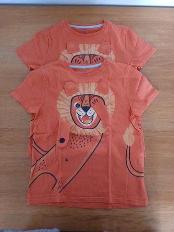 Lot lion jumeau 🦁