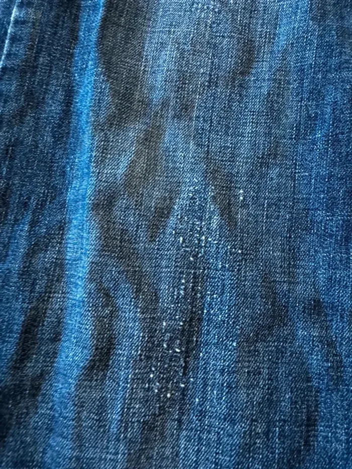 Jean Just Cavalli,bon état, 40x97cm - photo numéro 2