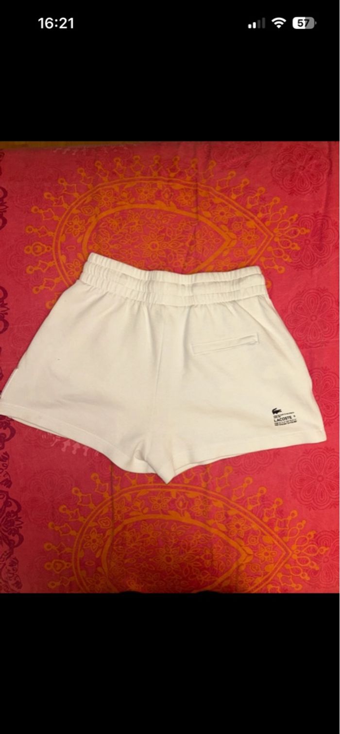 short lacoste - photo numéro 4