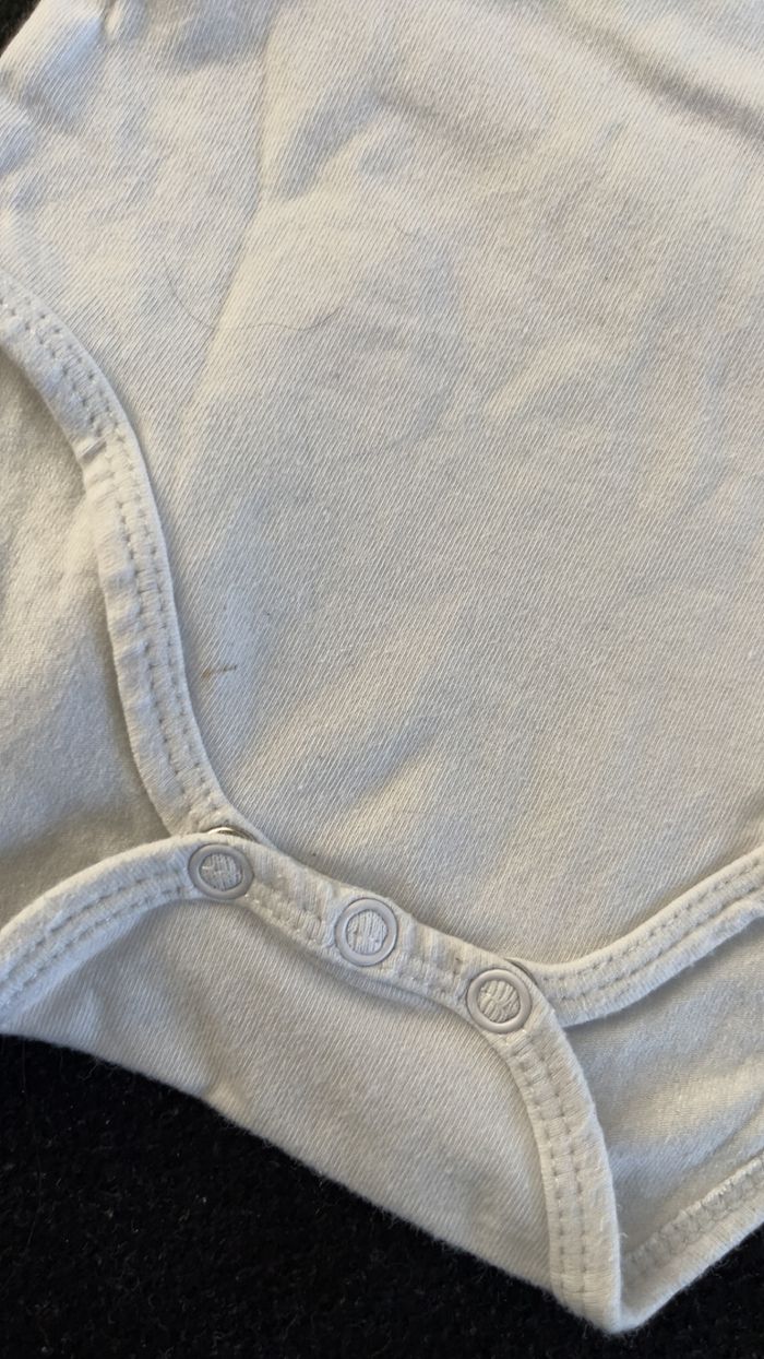 Bodie 3 mois - photo numéro 3