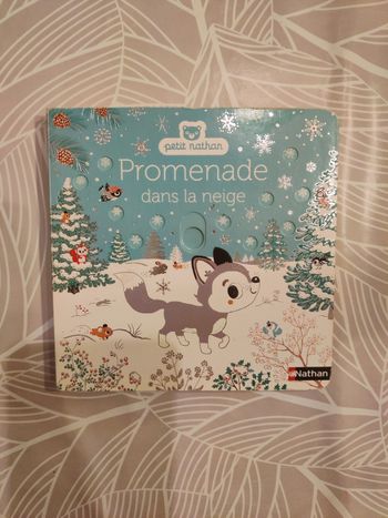 Promenade dans la neige