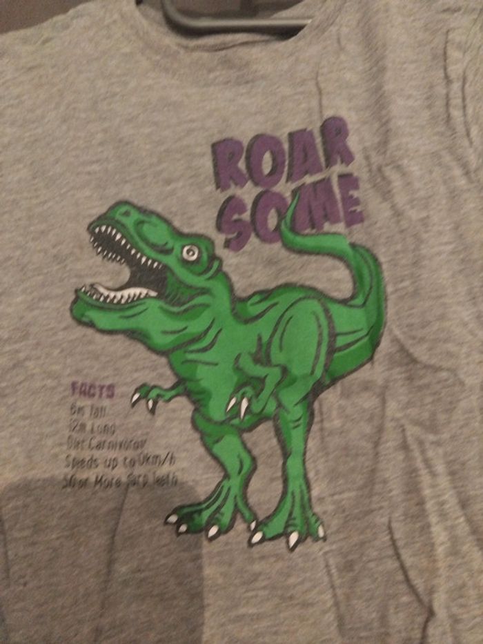 Tee-shirt 🦖 - photo numéro 2