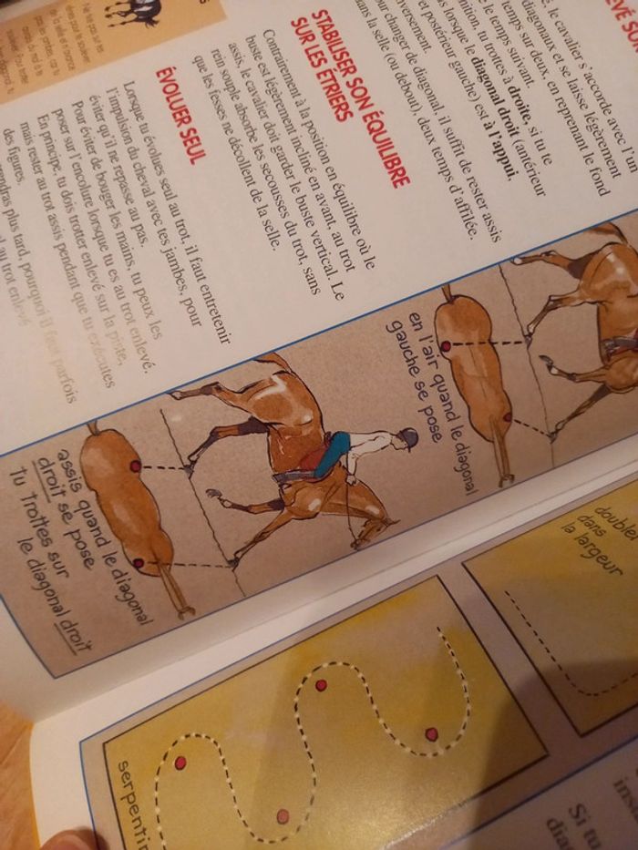 Livre galop - photo numéro 3