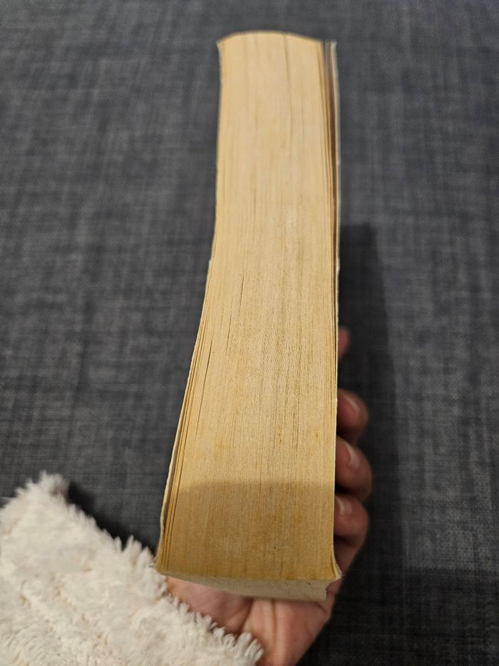 Peter Robinson: Tome 7 "Un goût de brouillard et de cendres" - photo numéro 4