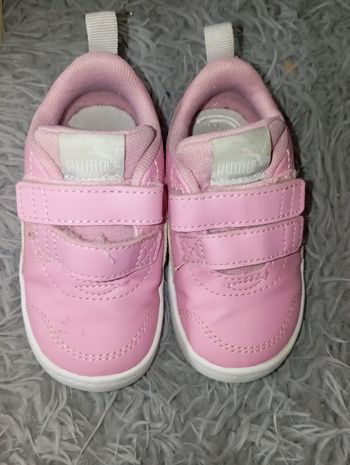 Basket puma