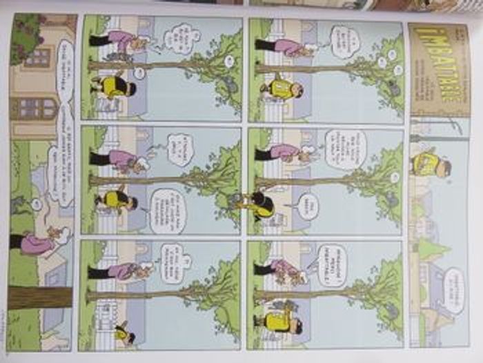 BD : Imbattable - Lot tomes 1 & 2 (Pascal Jousselin) - photo numéro 8