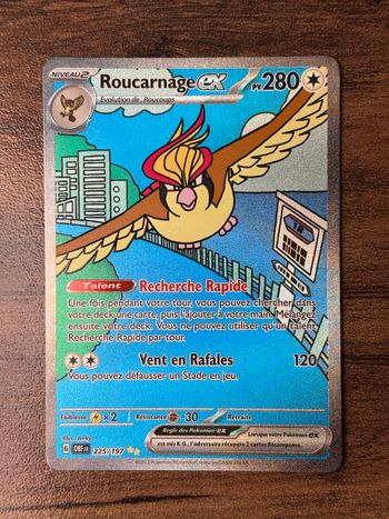 Roucarnage ex 255/197