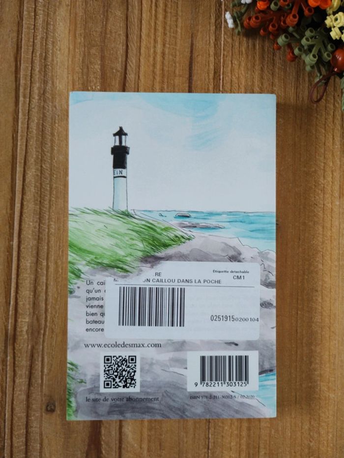 Un Caillou dans la poche - Niveau CM1 - Marie Chartres - photo numéro 3