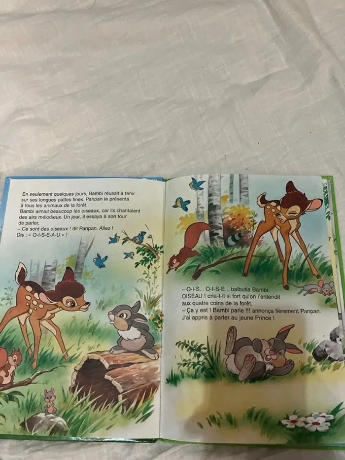 Livre enfant – Bambi - photo numéro 9
