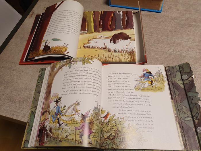 Lot livres de contes - photo numéro 9