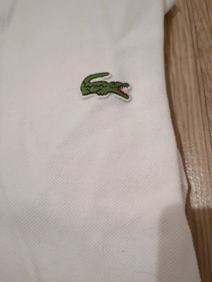 Polo Lacoste - photo numéro 5