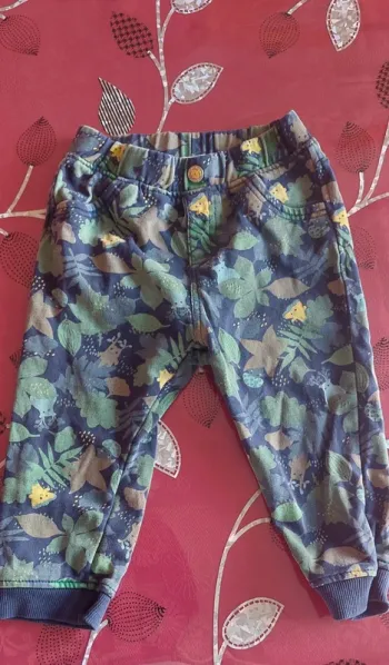 Pantalon doublé garçon 24 mois Du Pareil au même