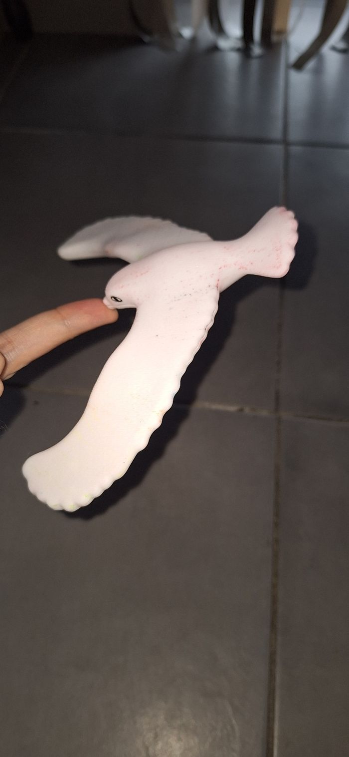 Oiseau.magique - photo numéro 2