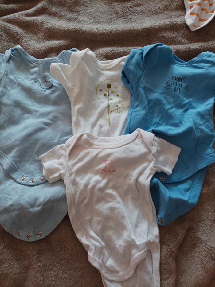 Bodys manches courtes - photo numéro 3