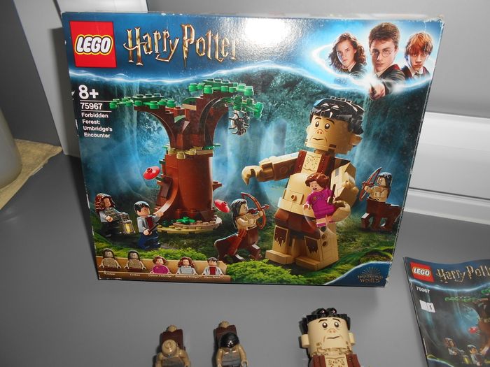 Lego Harry Potter n°75967: La forêt interdite: la rencontre d'ombrage - photo numéro 2