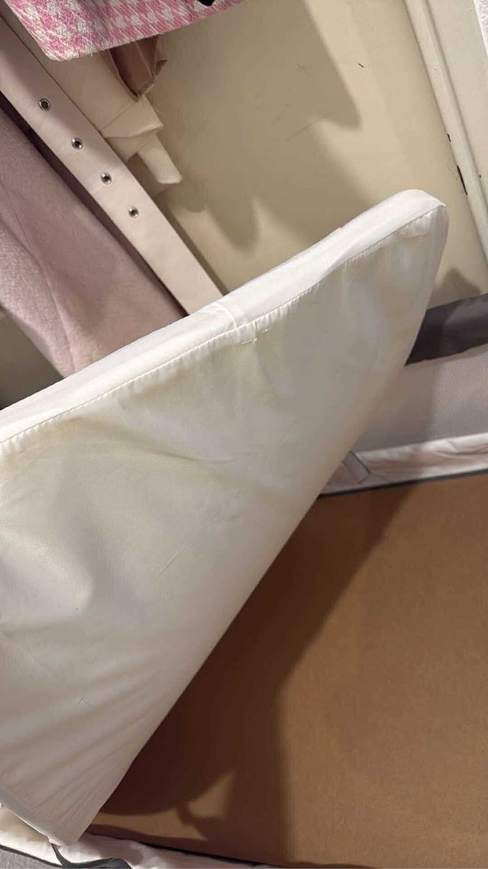 Cododo - photo numéro 3