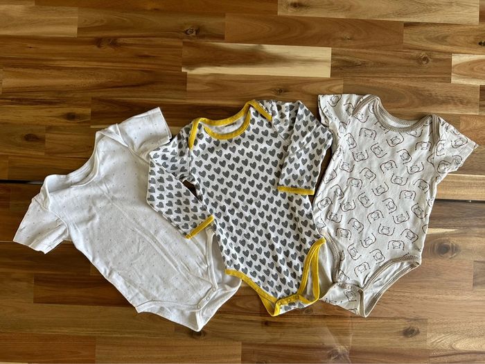 Lot de 3 Bodies 12 Mois