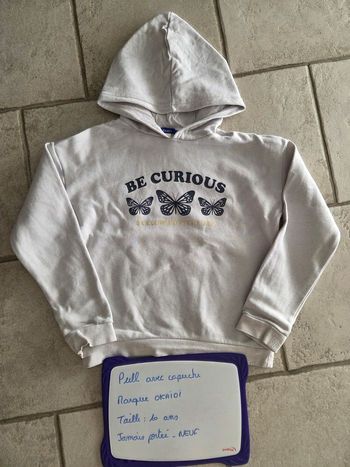 Pull a capuche " be curious"
