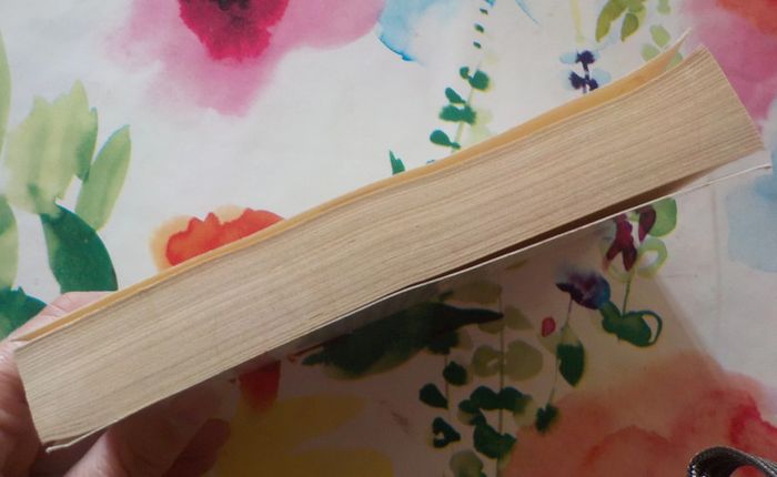 Contes de Grimm Ed. Folio n°840 - photo numéro 4