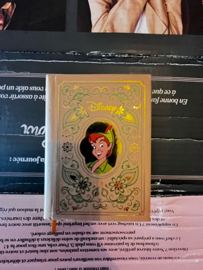 Livre Disney petit format : Peter pan