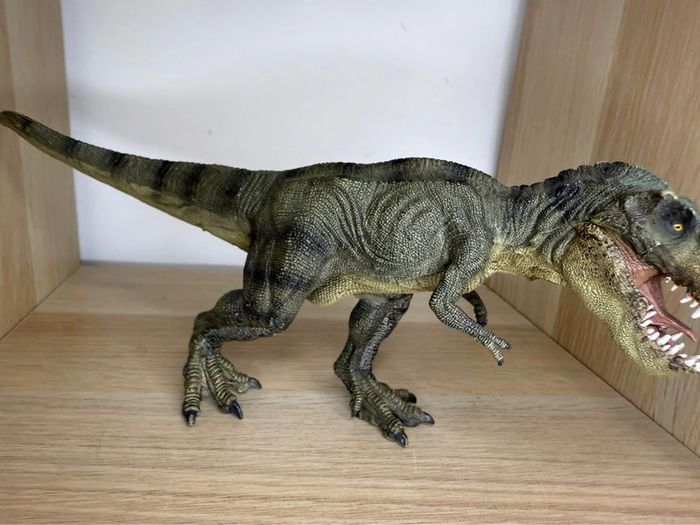 Tyrannosaures papo - photo numéro 4