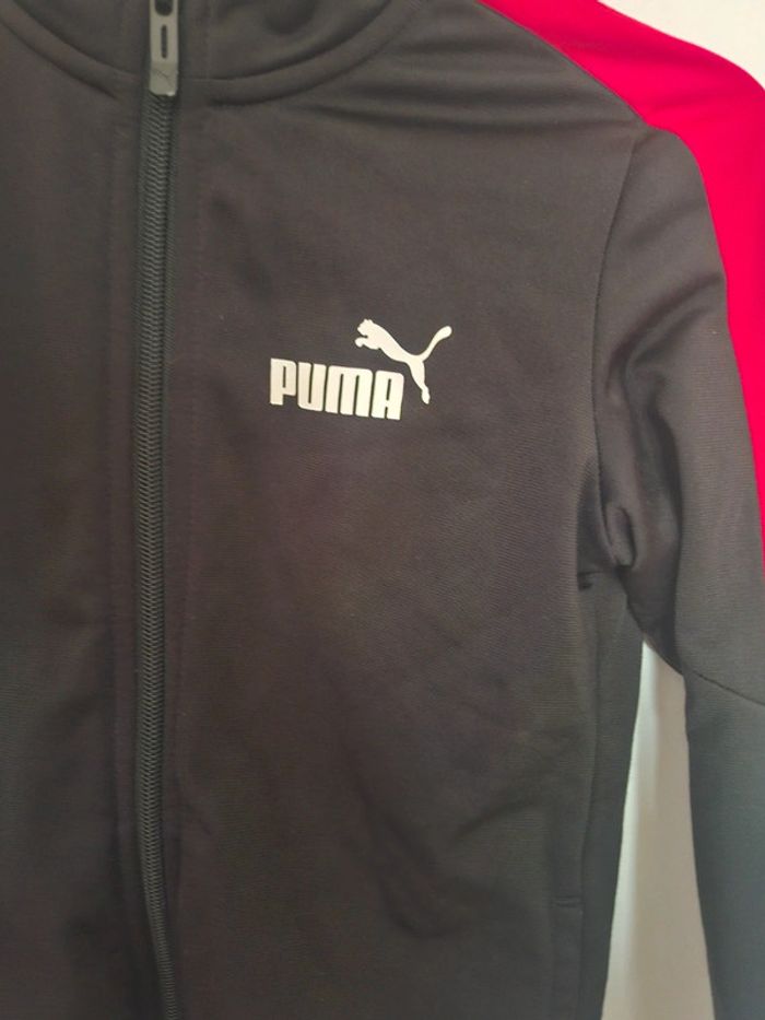 Veste puma