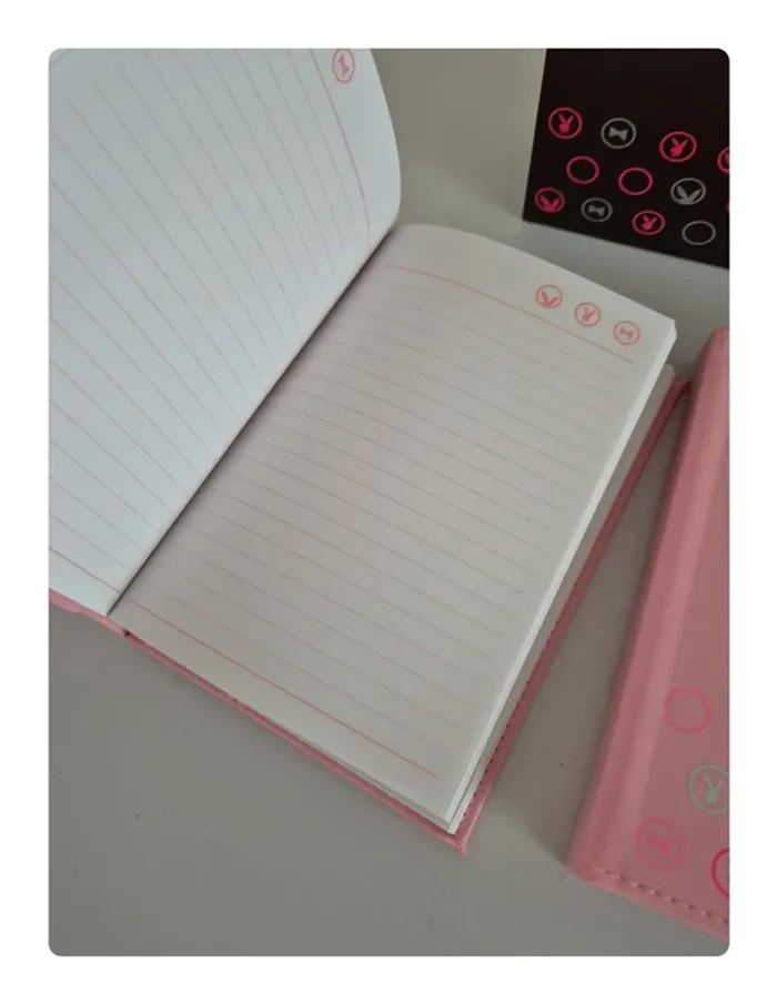 Lot carnets Playboy et Notebook Planner - photo numéro 5