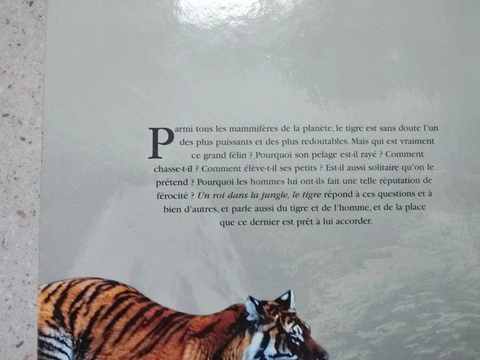 Un roi dans la jungle, le tigre - photo numéro 3